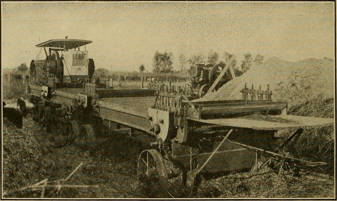 The Basics of Hemp Farming with Kevin Shively