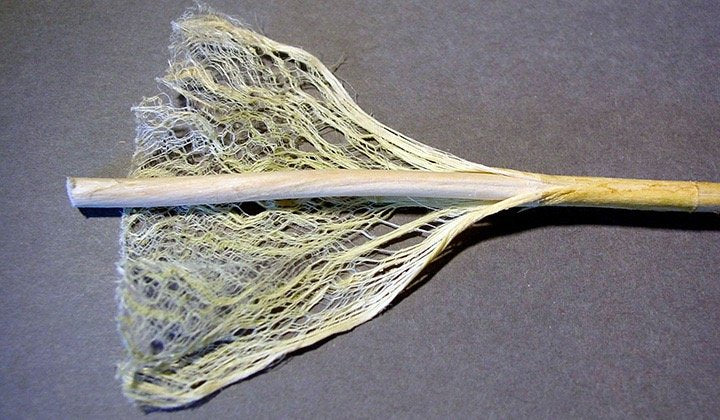 So what is the deal with hemp and cotton?