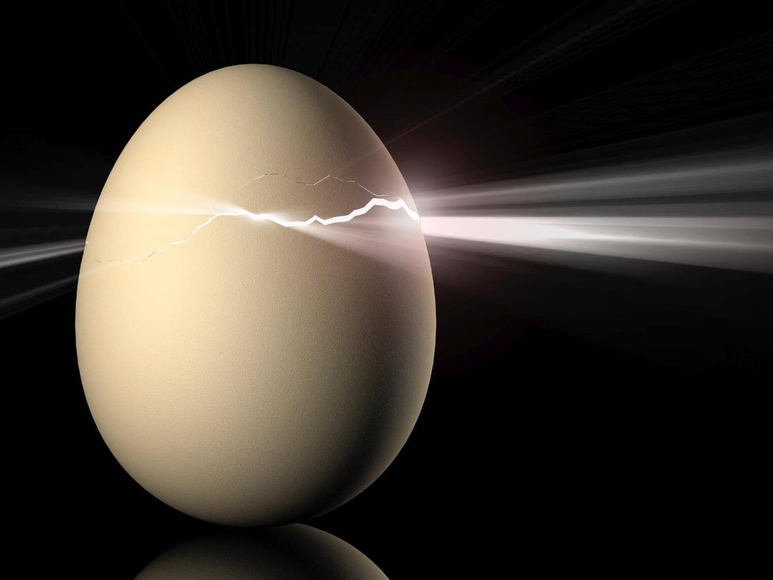 The Chicken and the Egg