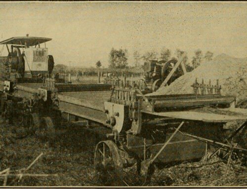 The Basics of Hemp Farming with Kevin Shively